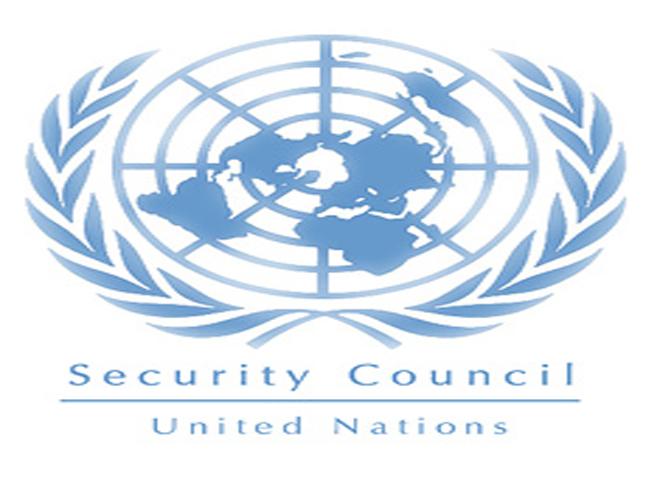 security council